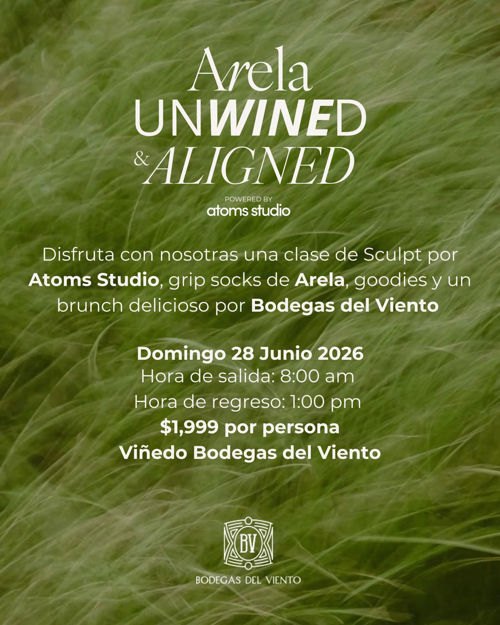Evento Aniversario Arela Unwined & Aligned